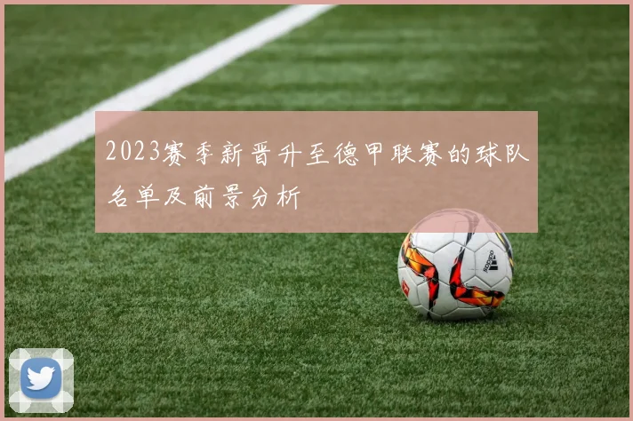 2023赛季新晋升至德甲联赛的球队名单及前景分析