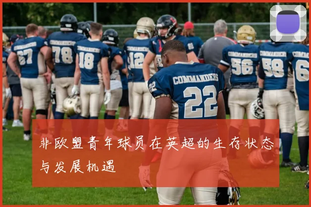 非欧盟青年球员在英超的生存状态与发展机遇