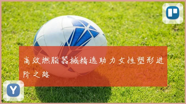 高效燃脂器械精选助力女性塑形进阶之路