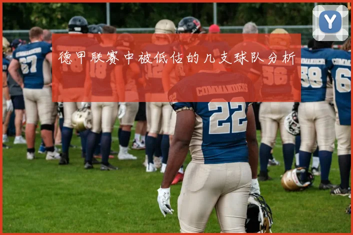 德甲联赛中被低估的几支球队分析